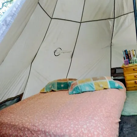 Luxuszelt Art Camp