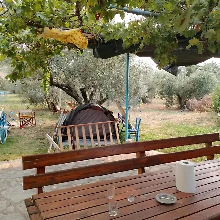 Luxury tent Art Camp